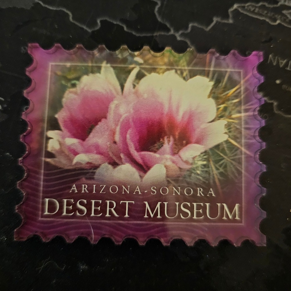 Arizona-Sonora Desert Museum Cactus Flower Acrylic Stamp Magnet Made in USA